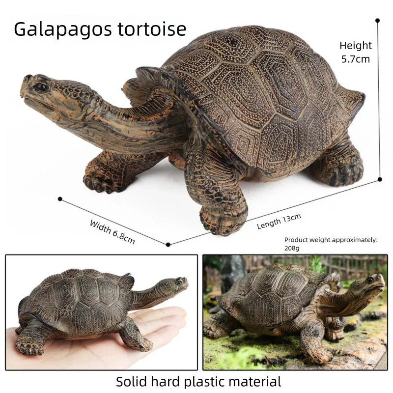 Oenux Simulations-Schildkröten-Set: Alligator, Galapagos-Schildkröte, Chinesische Weichschildkröte Figuren und Puppen – Detail 21