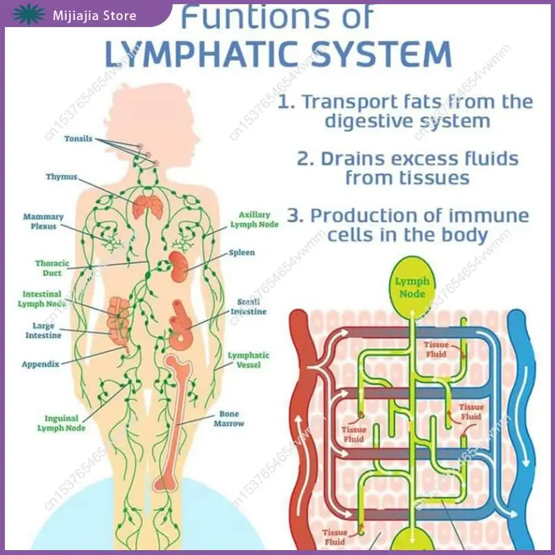 Lichaam Vormgeven Nek Instrument Orthopedische Lymfatische Relief Nek Instrument Orthopedische Draagbare Orthopedische Voor Mannen Vrouwen VERKOOP