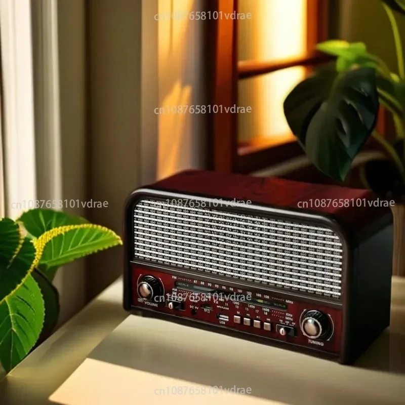Dual-Channel Stereo Radio for Seniors: FM, AM, Shortwave, Bluetooth, and USB Speaker