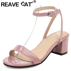 REAVE CAT Women Sandals Peep Toe Chunky Heels Concise Party Lady Shoes 30-51 Black Yellow Elegant Summer S3530