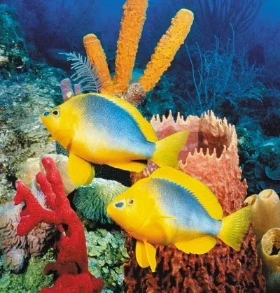 

1/18 1/12 1/24 Roof Rack Platform Luggage Rack for TRX4M SCX24 RC Car Option Parts#A/B/C/D