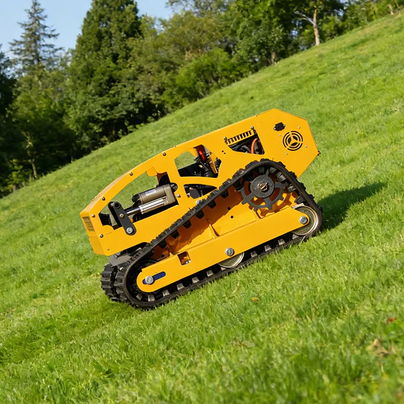 Customized Professi…