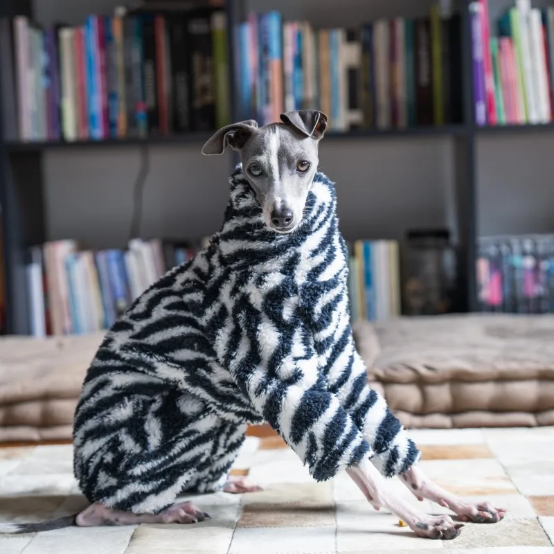 new zebra double-sided velvet puppy clothes warm and soft medium-sized dog clothes suitable for small greyhounds/whippets