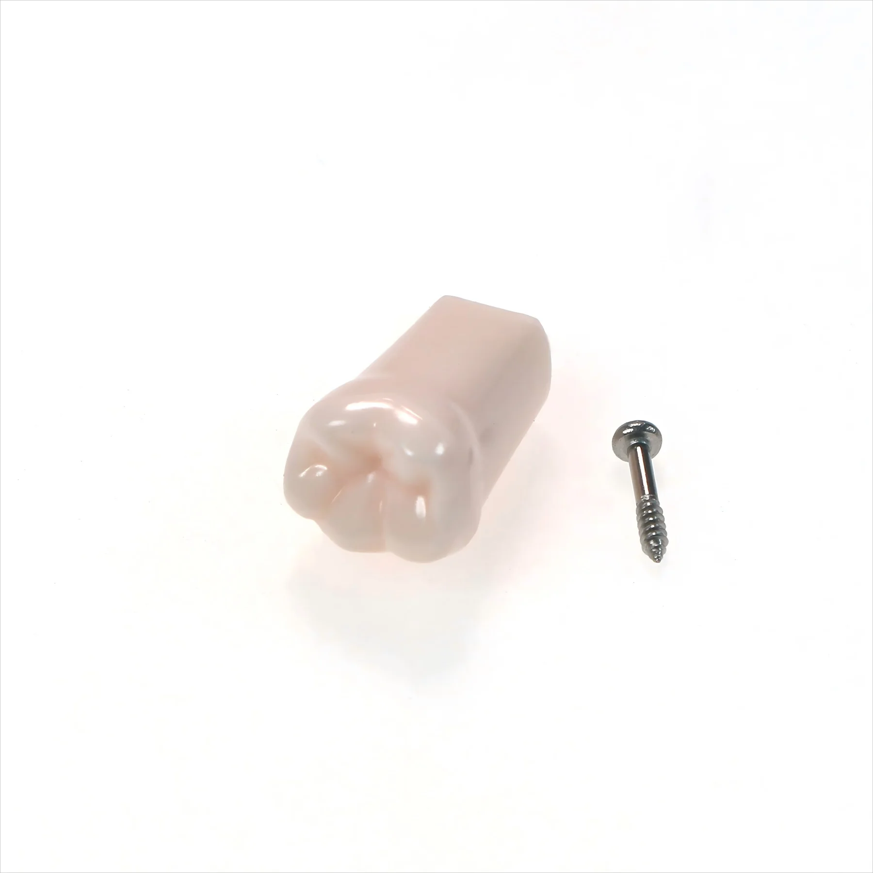 

10 шт. M8024-46 # Стоматологическая модель LR6 подходит для Kilgore NISSIN 500, тип 28 шт., съемные зубы, ввинчивающиеся практические исследования