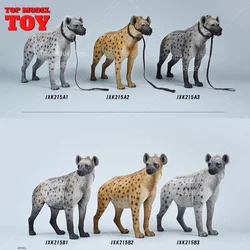 JXK JXK215 1/6 Scale Spotted Hyena with Muzzle Animal Model Static Scene Accessory For 12'' Action Figure Body Dolls