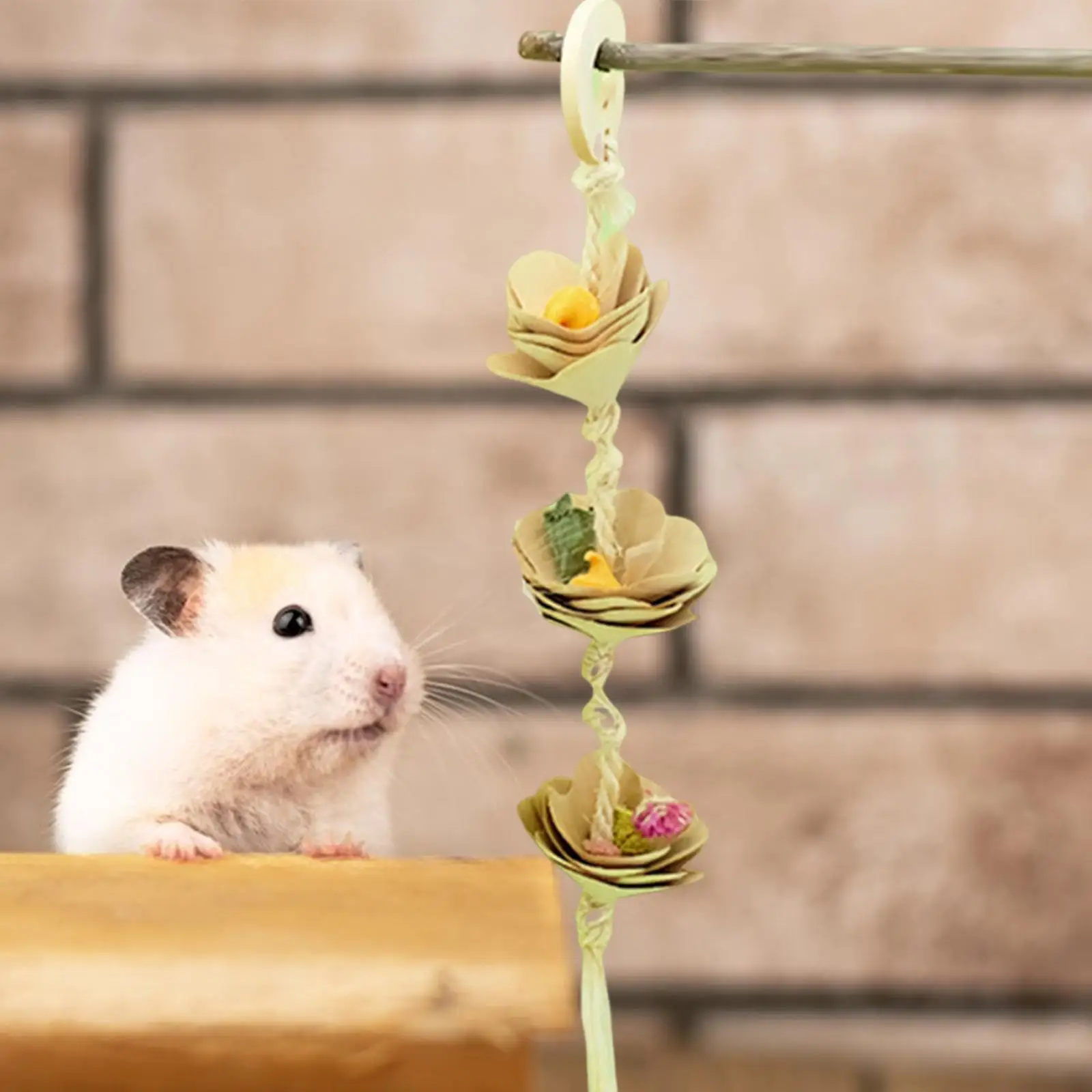 Treat Dispenser Hamster Hanging Toy Pet Supplies Lightweight Practical Guinea Pig Feeding Toy for Gerbils Rats Chinchillas