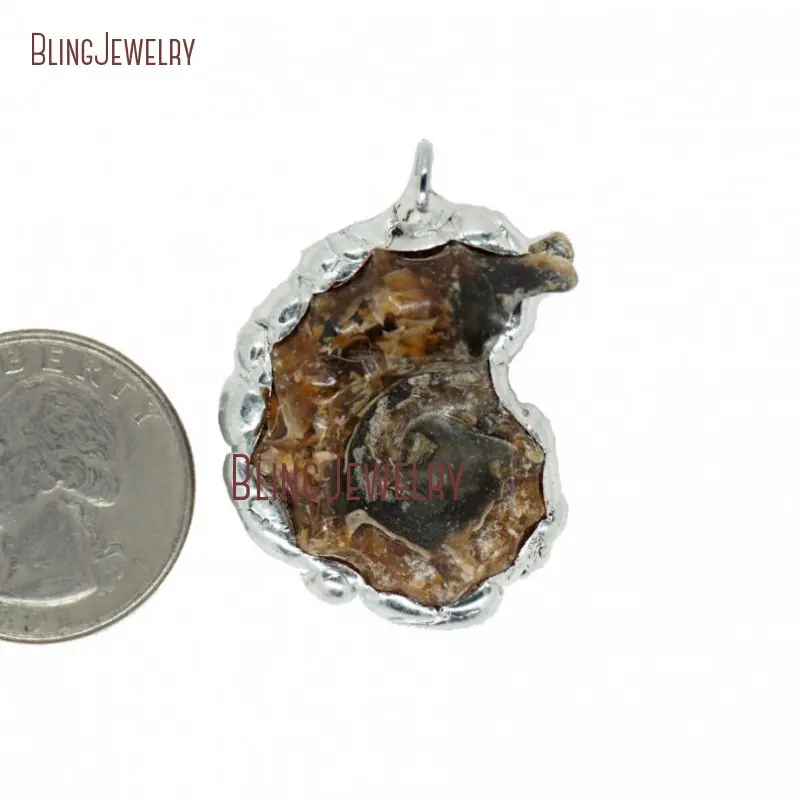 Solder Pendant Natural Ammonite Sea Snail Wheck Conch Charm Siphonaria Nautilus Shell  PM29274