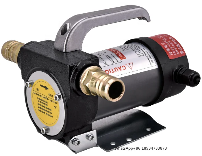 

12 В 24 В 220 Вт Новое поступление мини электрические портативные насосы для перекачки масла и топлива для перекачки дизеля