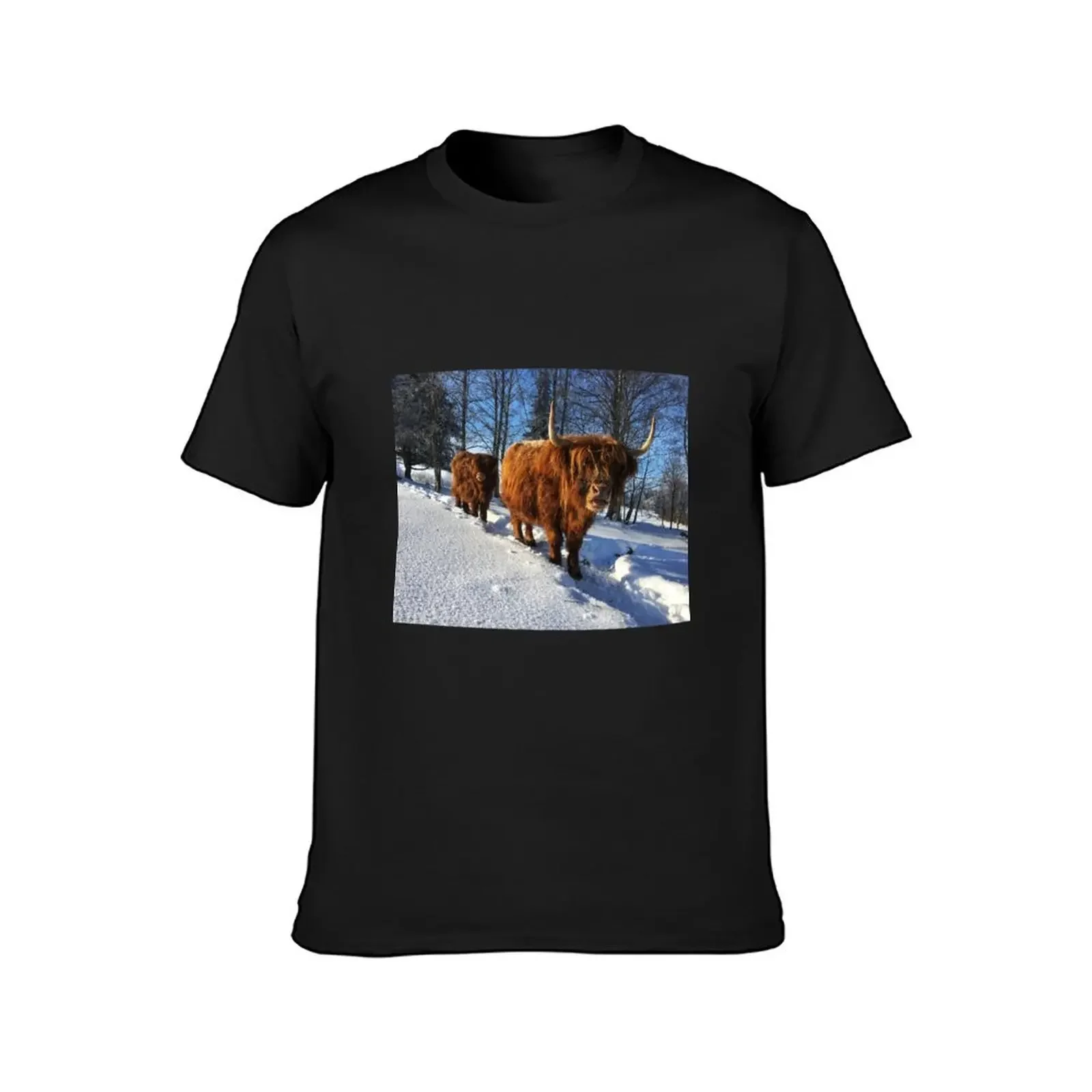 Scottish Highland Cattle Cow and Calf 1688 T-Shirt tops quick-drying blacks plain black t shirts men