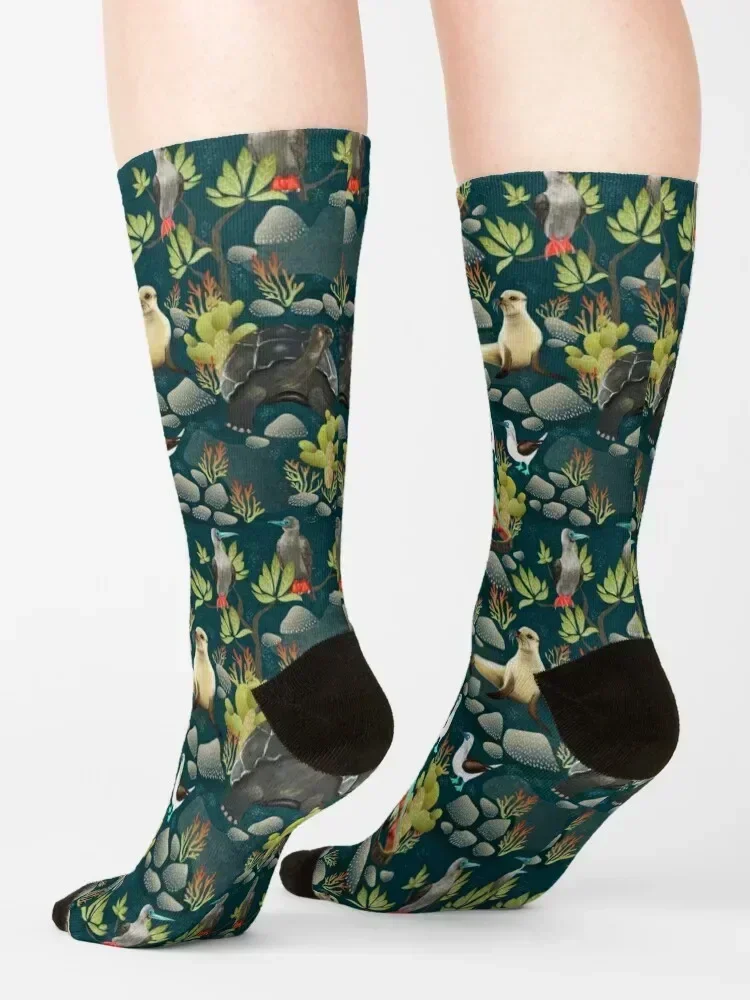 Galapagos Island Socks Novelties Hiking boots fashionable christmass gift Men Socks Women's