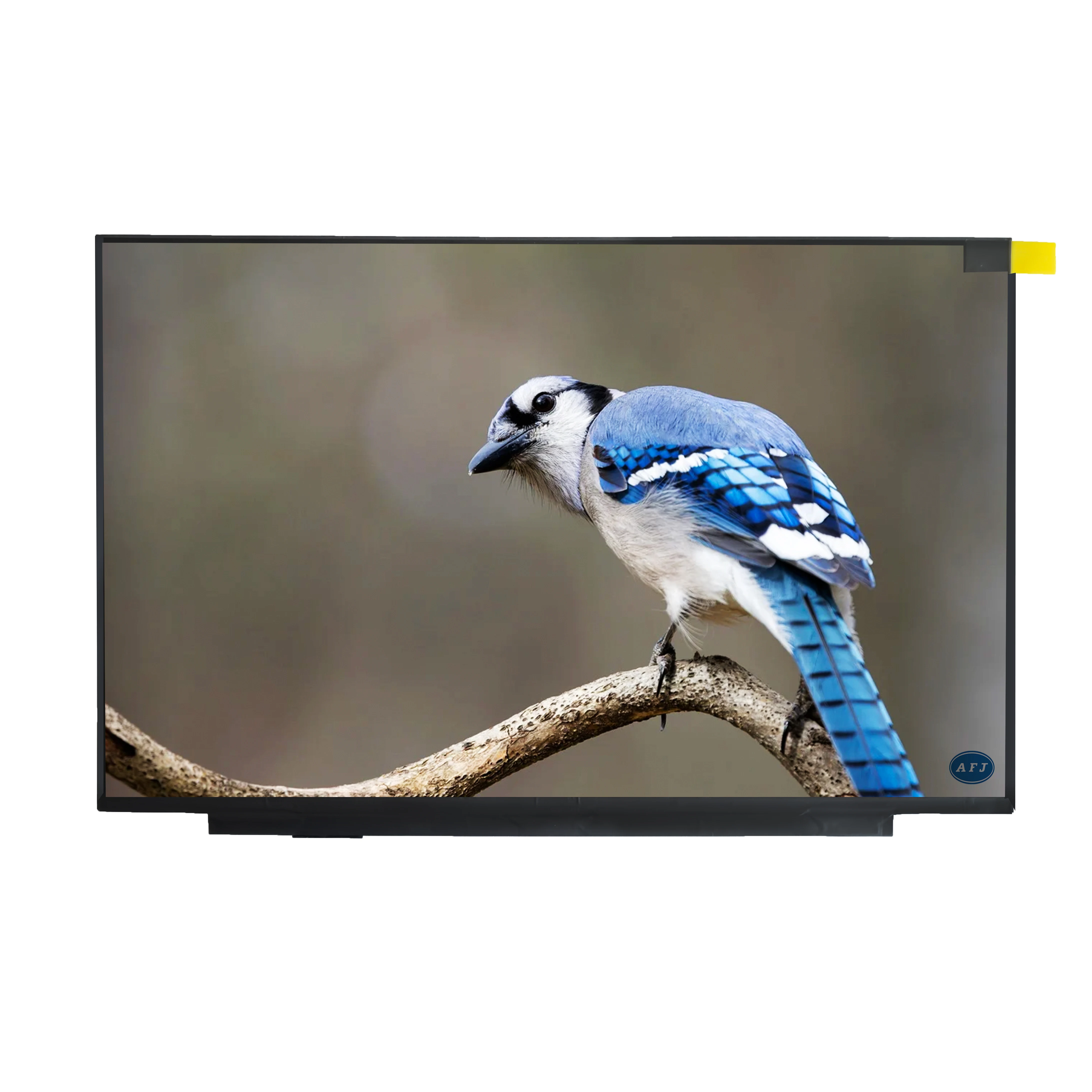 

14" NE140QDM-NX2 40pin eDP 1.4 HBR2 5.4Gbps LCD Module 100% sRGB 120Hz WQXGA Laptop Display