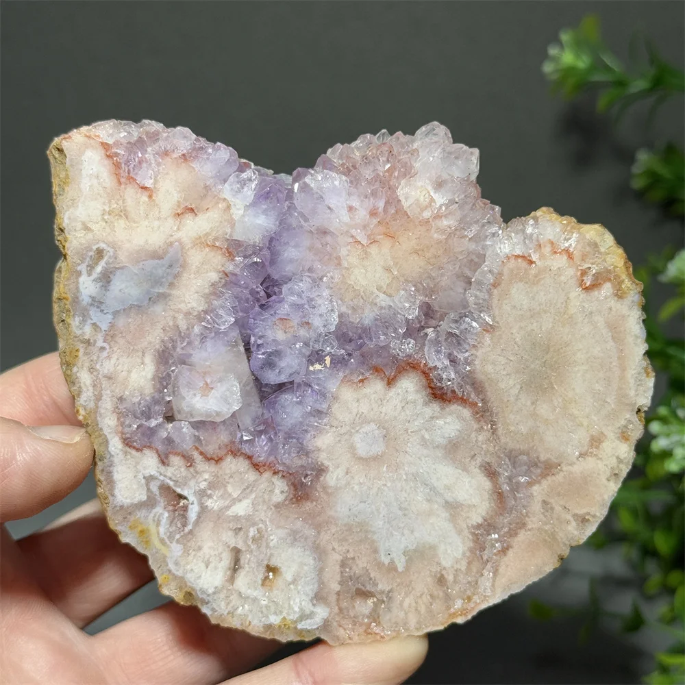 Cristal de Ágata Natural con Forma de Flor de Cerezo, Piedra Irregular, Reiki, Sanación, Chakra, Decoración para el Hogar + Soporte