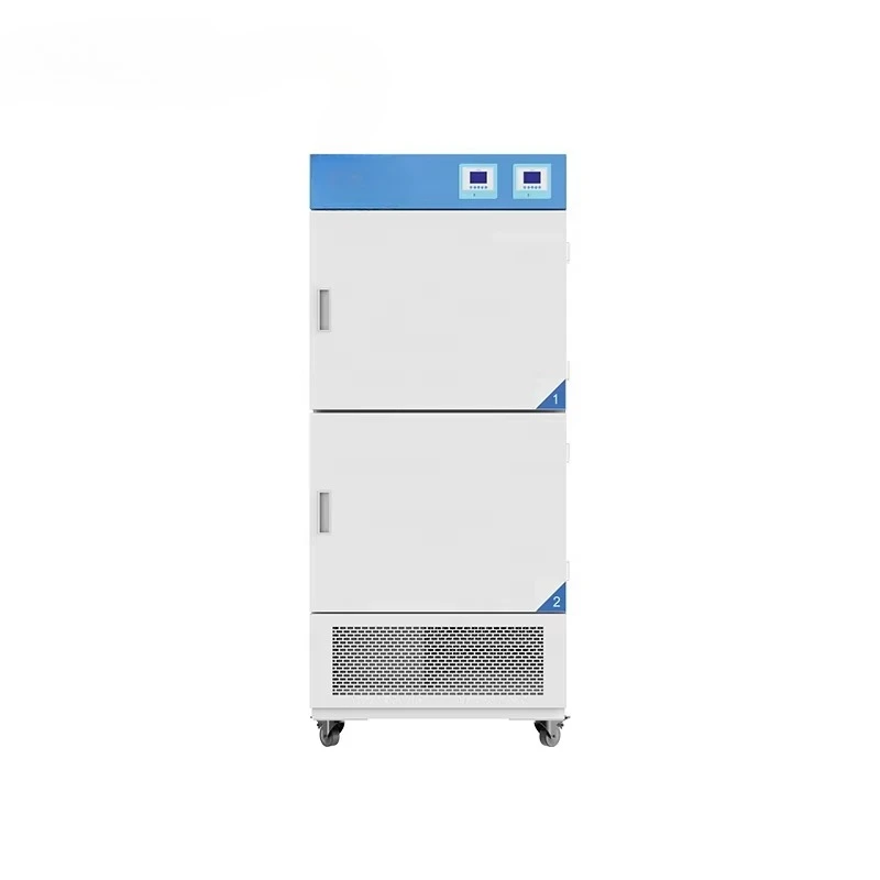 Multi-Chamber Biochemical BJPX-M150-2C 0~60℃ Mirror Stainless Steel Inner Mould Incubator for Lab