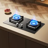 Gas Stove 5.2kw Double Stove Household Embedded Desktop Natural Liquefied Gas Stove Estufas De Gas Para El Hogar