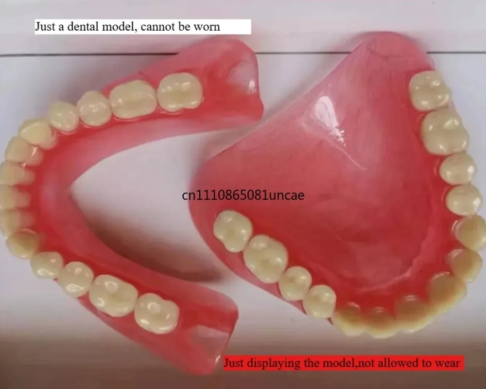 full-partial-denture-typodont-model-false-teeth-display-tool-dental-student-training-clinic-teaching-equipment