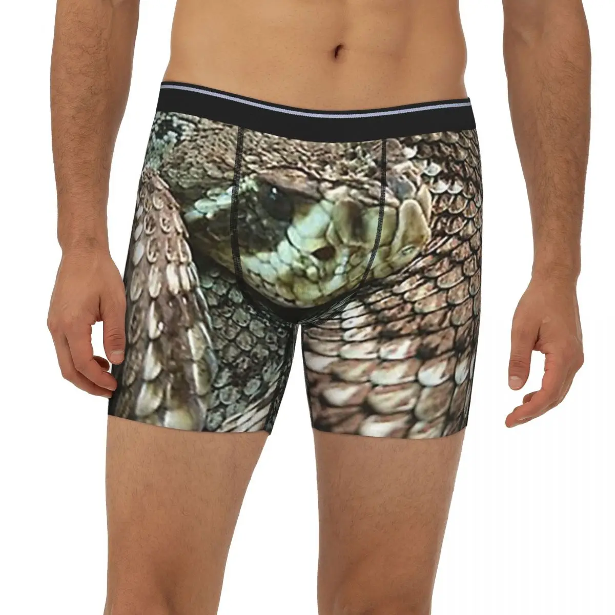 

Snake, Coiled Diamondback Rattlesnake Long Boxer Underpants Short Men's Panties Ventilate Underwear for Homme Man Boyfriend Gift