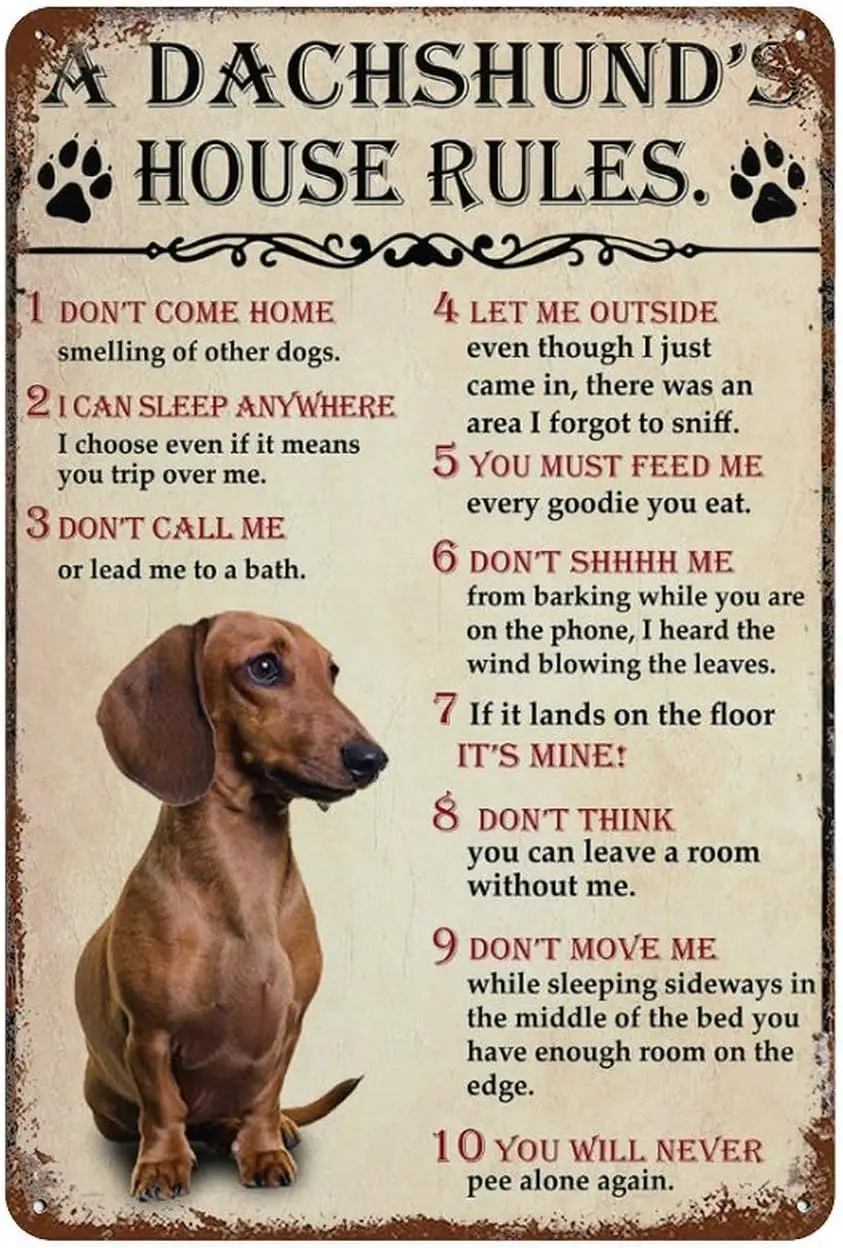 Znaki blaszane Retro A Dachshund House Rules For Dog Lover Art Decorations Metal Sign Wall Decor Tin Signs Vintage 8 X 12 Inches