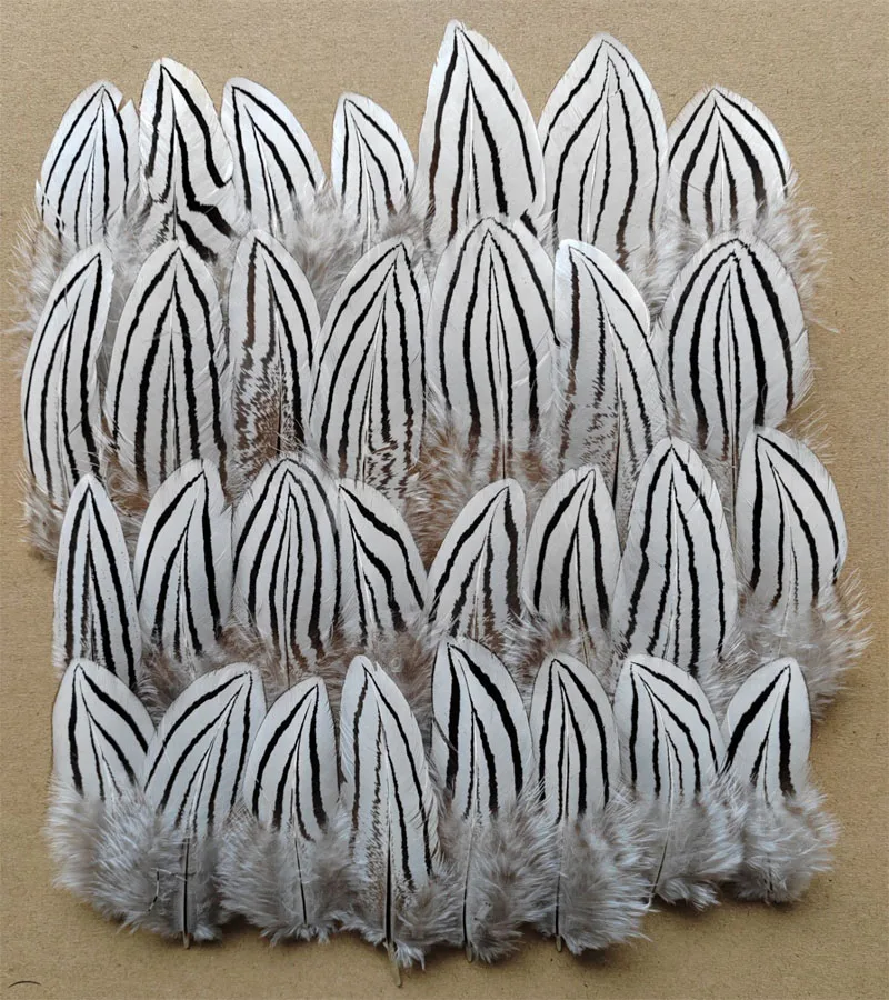 100Pcs/Lot! NATURAL Silver Wing Pheasant Feathers,Feather Headdress,Top with Feathers,Feathers Natural