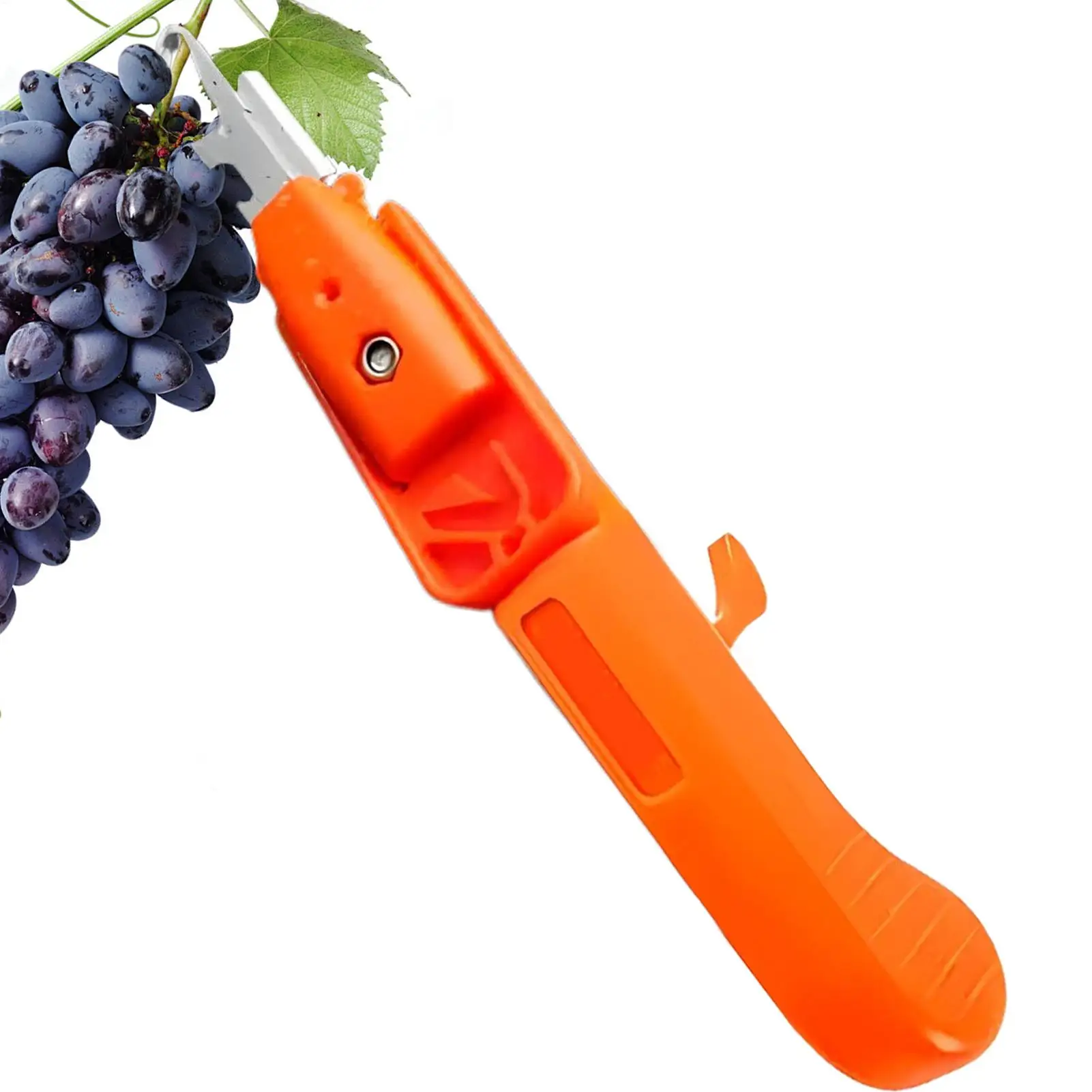 

Секаторы, сборщик фруктов, ножницы для сбора фруктов, крючок, инструмент, многофункциональный секатор для ухода за бонсай, резка ветвей, обрезка растений