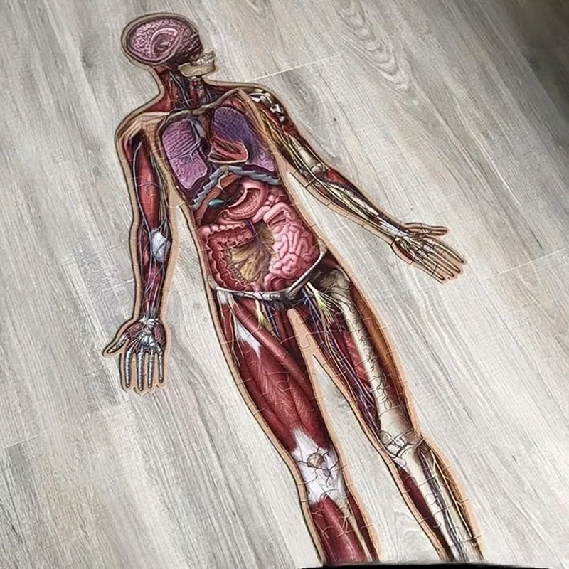 

Kids 100-Piece Human Body Floor Puzzle, Educational Learning Puzzle for Kids