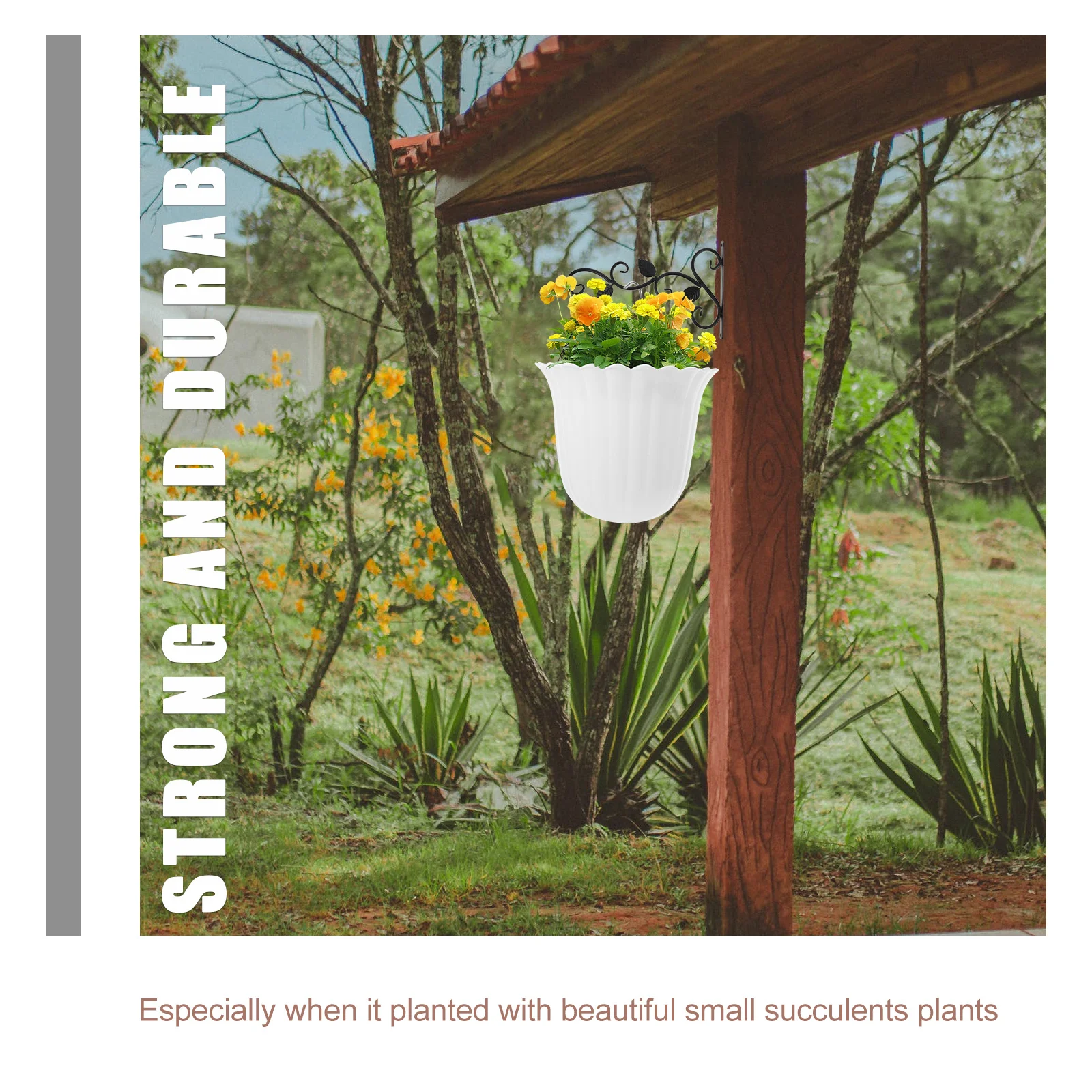 

2Pcs Wall Hanging Planter Indoor Wall Plant Holder Pot for Succulents Cactus Small Plants Home Office Decoration