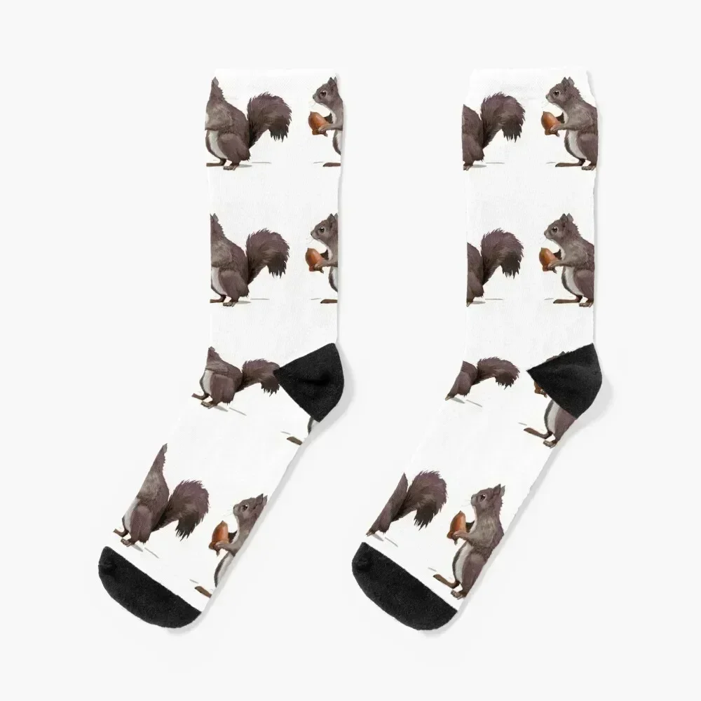 Squirrel! Socks compression cartoon shoes cool Socks Male Women's