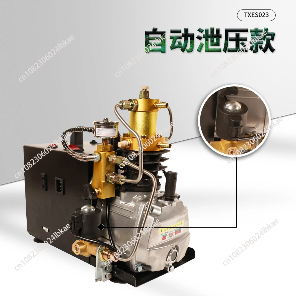 4500PSI 300Bar PCP Air Compressor Auto Purge and Adjustable Auto Stop High Pressure Water Pump for Air Rifle Gun 110/220