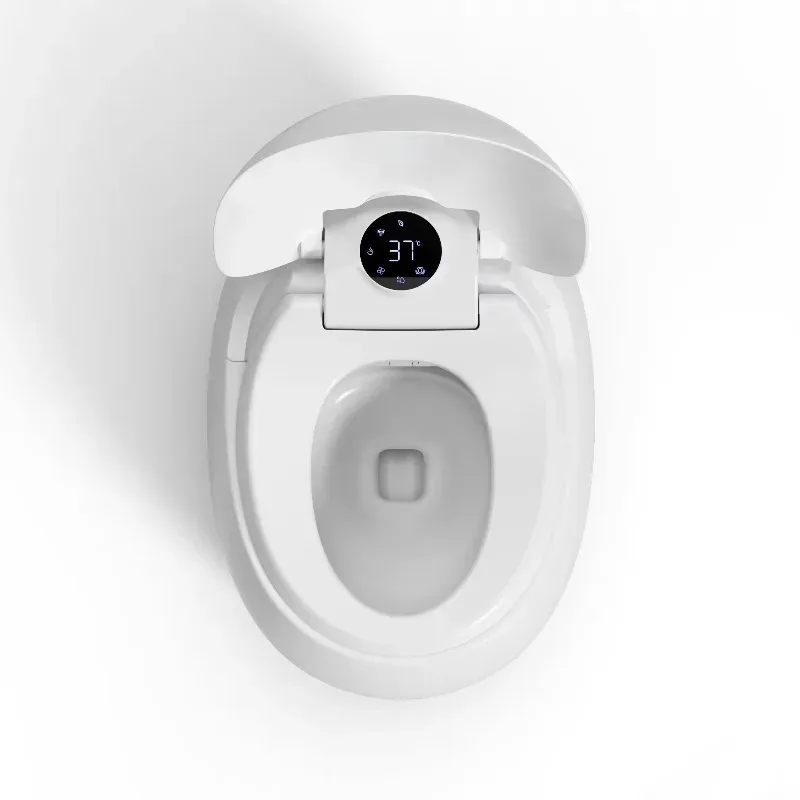 

FEIDU Modern Smart Ceramic Egg-Shaped Sanitary Ware Elongated Toilet Bowl S-Trap Drainage Remote Control Drying Seat Heating