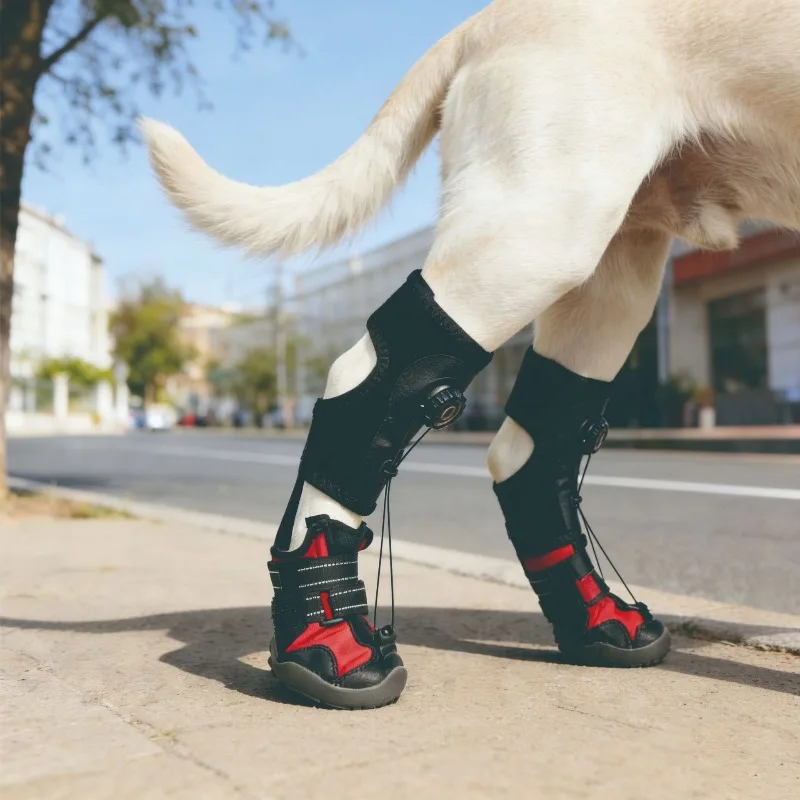 Thumbnail 4 - #35 Latest Puppy Boots Updates