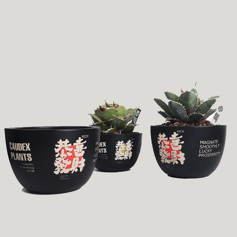 NBHD trendy root plant agave turtle shell dragon root SRL flowerpot ceramic