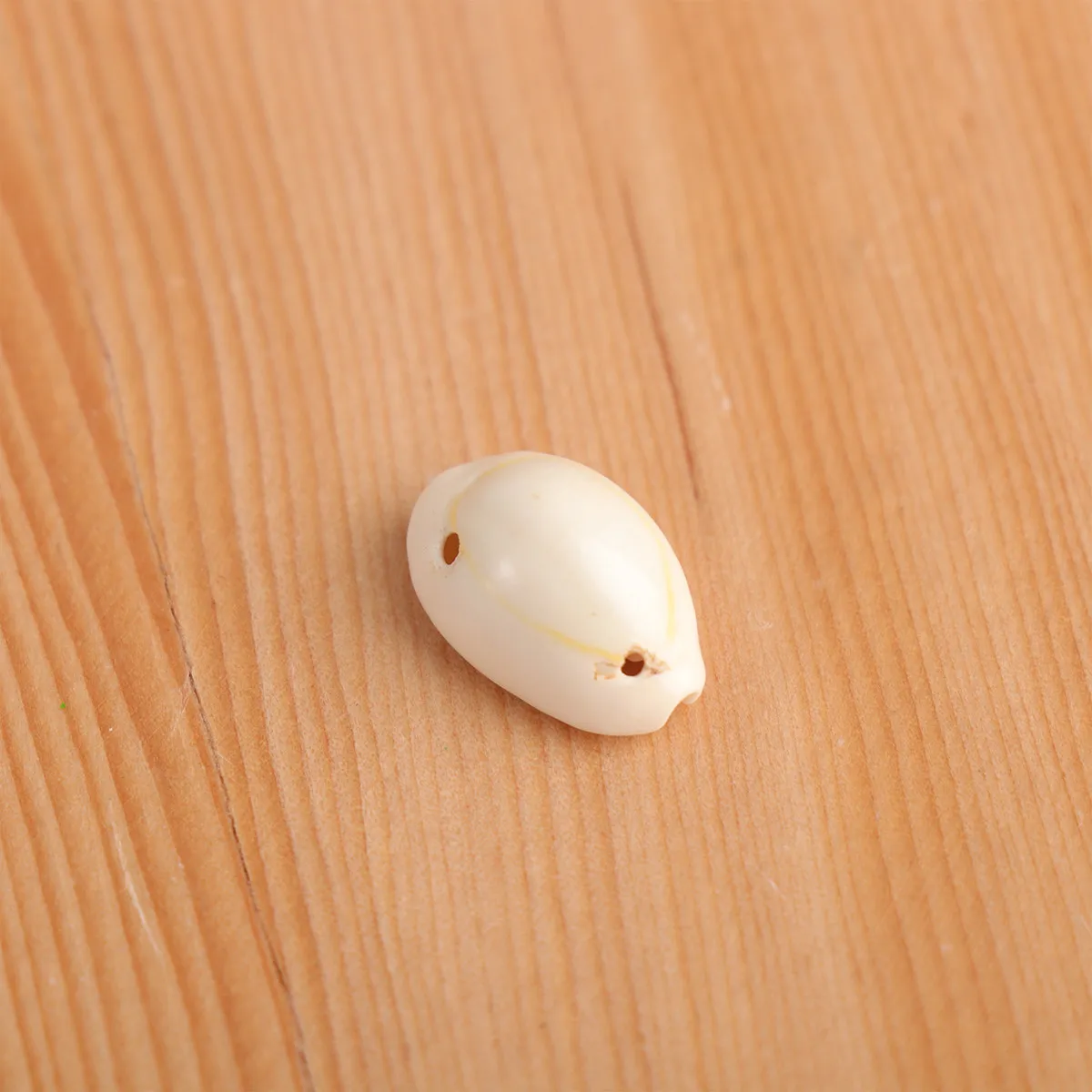 

50Pcs Conch Pendant Natural Sea Snail Shell Pendant 1.6cm Double-Opening for DIY Jewelry Making Unique Smooth Safe Hanging