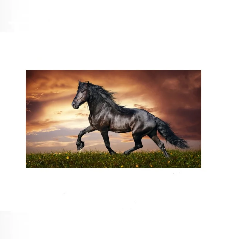 Black horse running in a field at sunset, Art Print Canvas Poster, Living Room Decor, Home Wall Picture