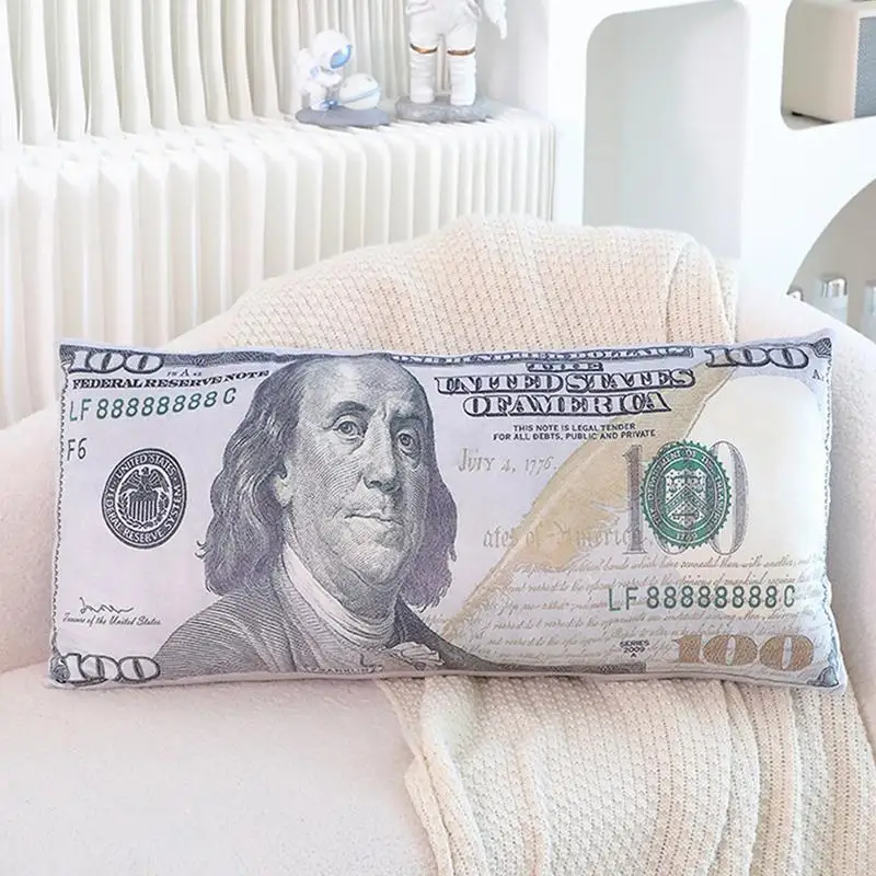 Money Pillow for Bed Plush Pillow Bed Pillow Cool Pillows Aesthetic Comfy Throw Pillow 100 Dollar Big Pillow Soft Plush Toys