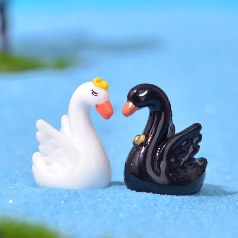 Cute Black and White Swan Micro Landscape Succulent Decoration and Creative Tabletop Accessories