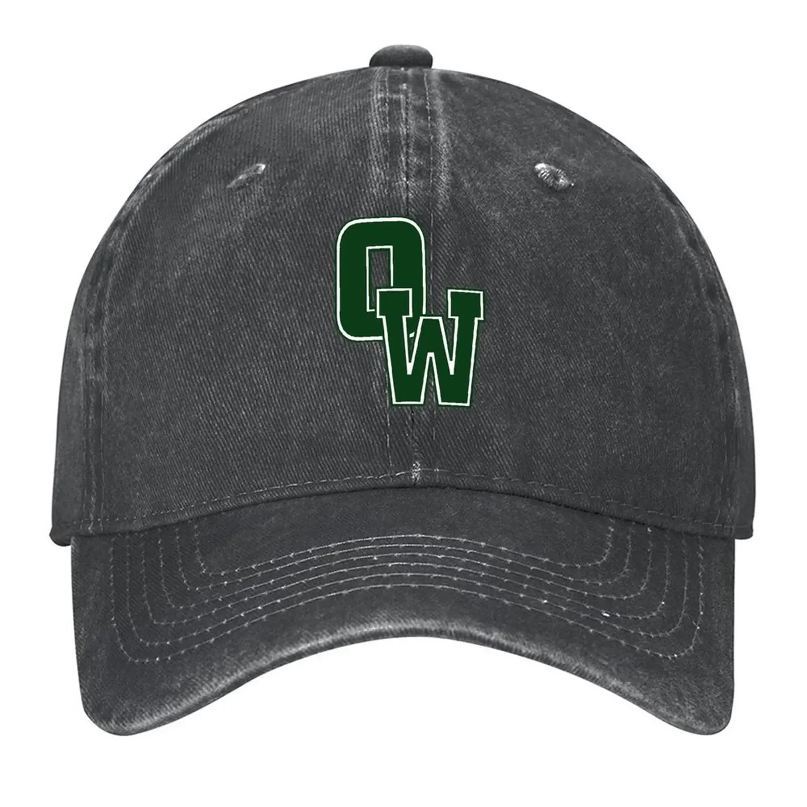 Gorra de Béisbol Personalizada 2026 NY At Old Westbury PTeam, Gorra Nueva de Marca de Lujo para Hombre y Mujer