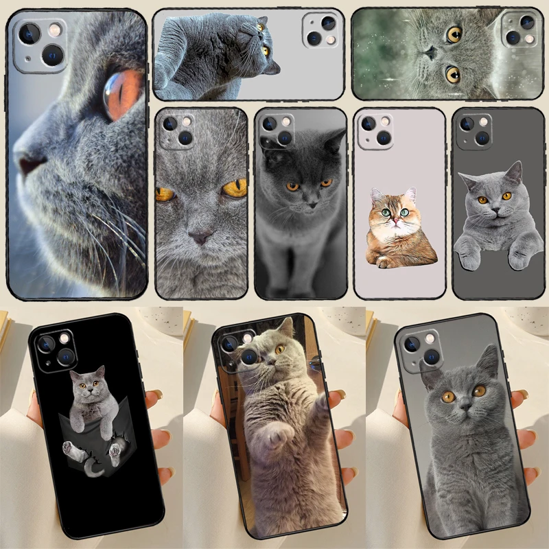 British Shorthair Cat Cover For iPhone 13 14 15 16 Pro Max 12 Mini 11 14 15 16 Pro Max Plus X XR XS Max Phone Case