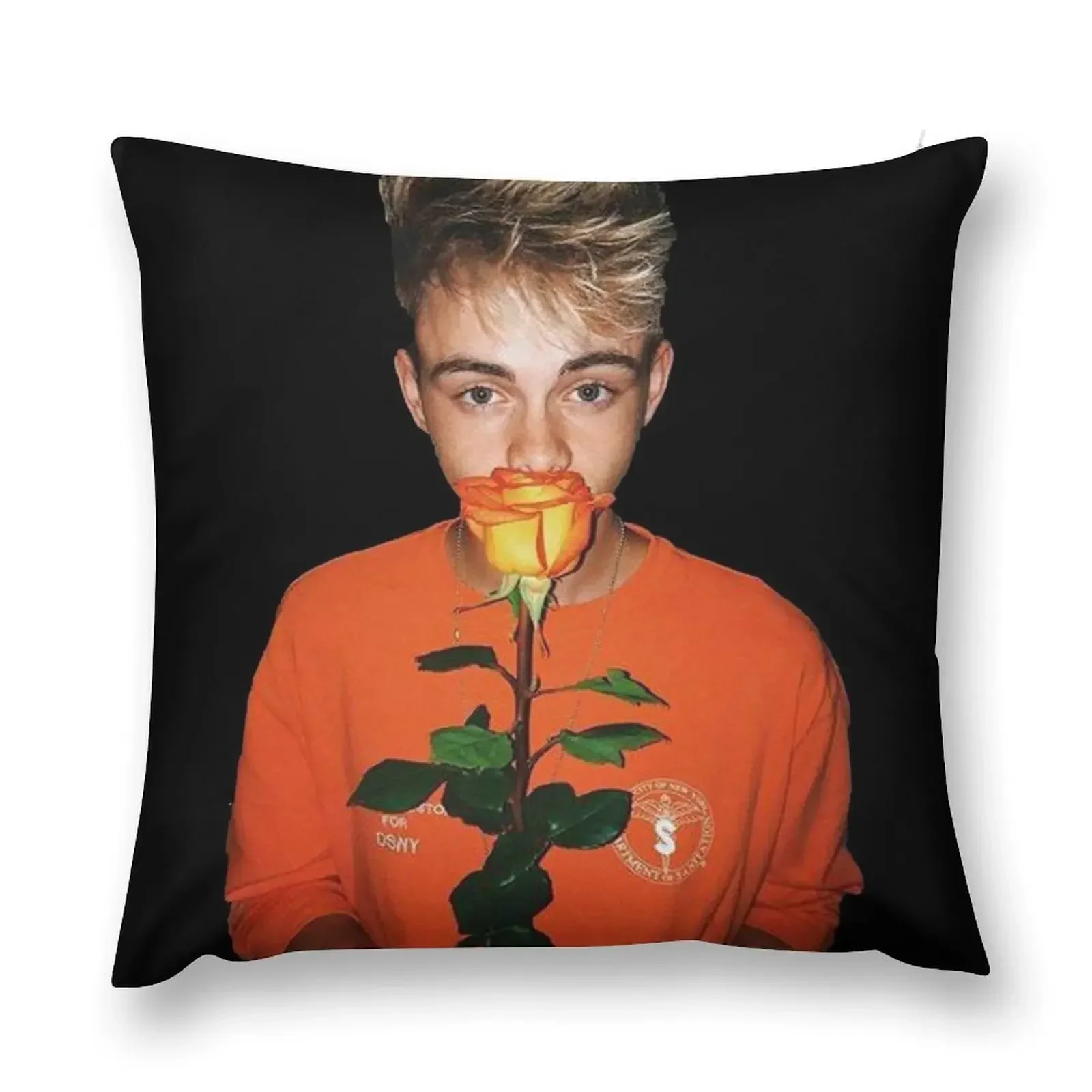 Corbyn Throw Pillow Plaid Sofa Pillowcases pillow