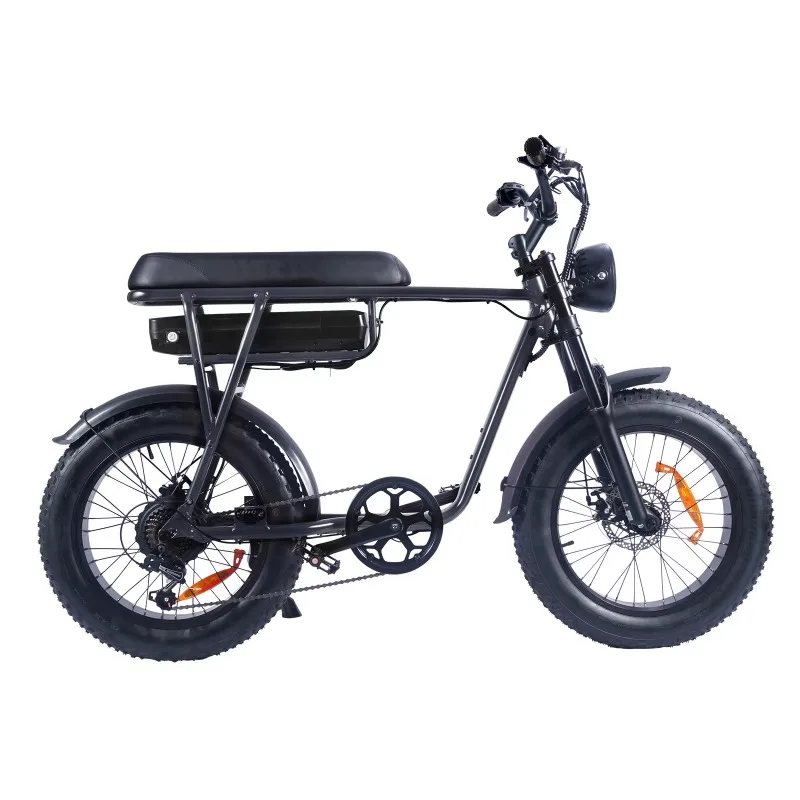 

Large Power 500w Pedal Assist Electric Bike 7 Speed Gears Li-ion Battery Tire Tire E-bike