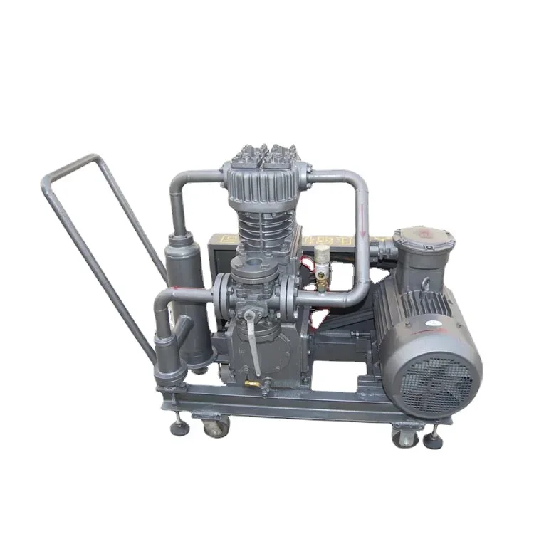 Lpg Gas Compressor Conversion Kits Cng Gas Compressor With Oil Free