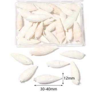 6 best sales Vỏ sò - №1