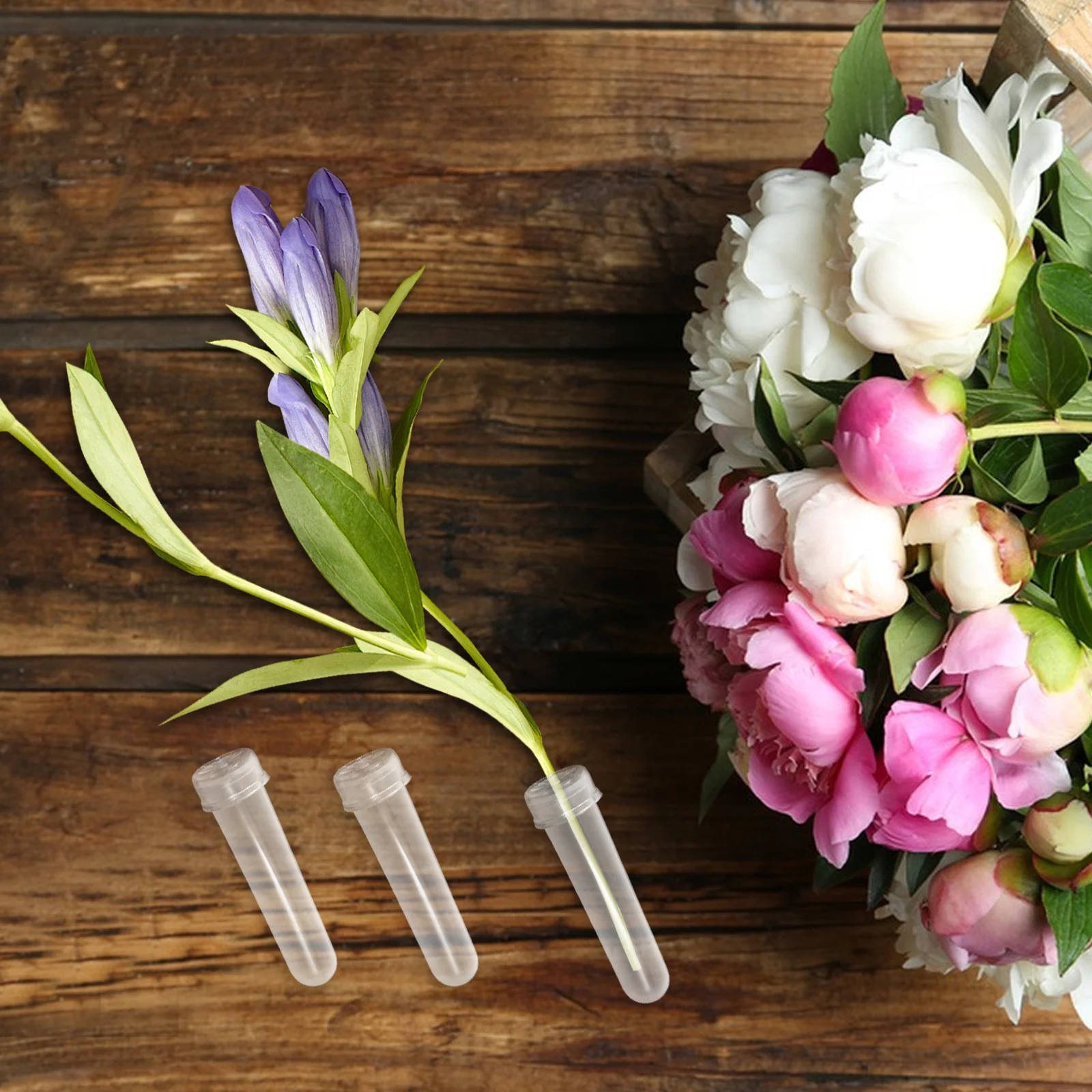 

20Pcs Flower Water Tubes Floral Vials with Caps for Flower Arrangement Decoration Extended Freshness Easy to Use for Hydroponic