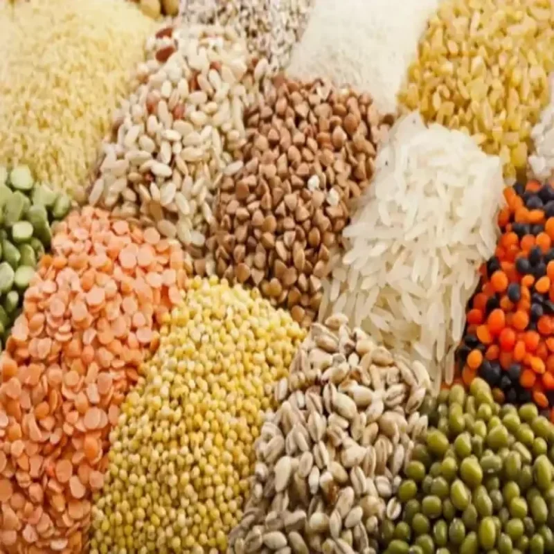 Hot SalesSmall Mini Wheat Seed Sesame Coffee Beans Grain Rice Paddy Stone Gravity Removing Destoner Machine