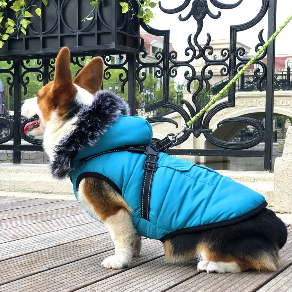 Dogs and Cats Coat Jacket Pet Vest  Harness Collars Design Puppy Warm Hoodies Clothes  5 size 3 colors