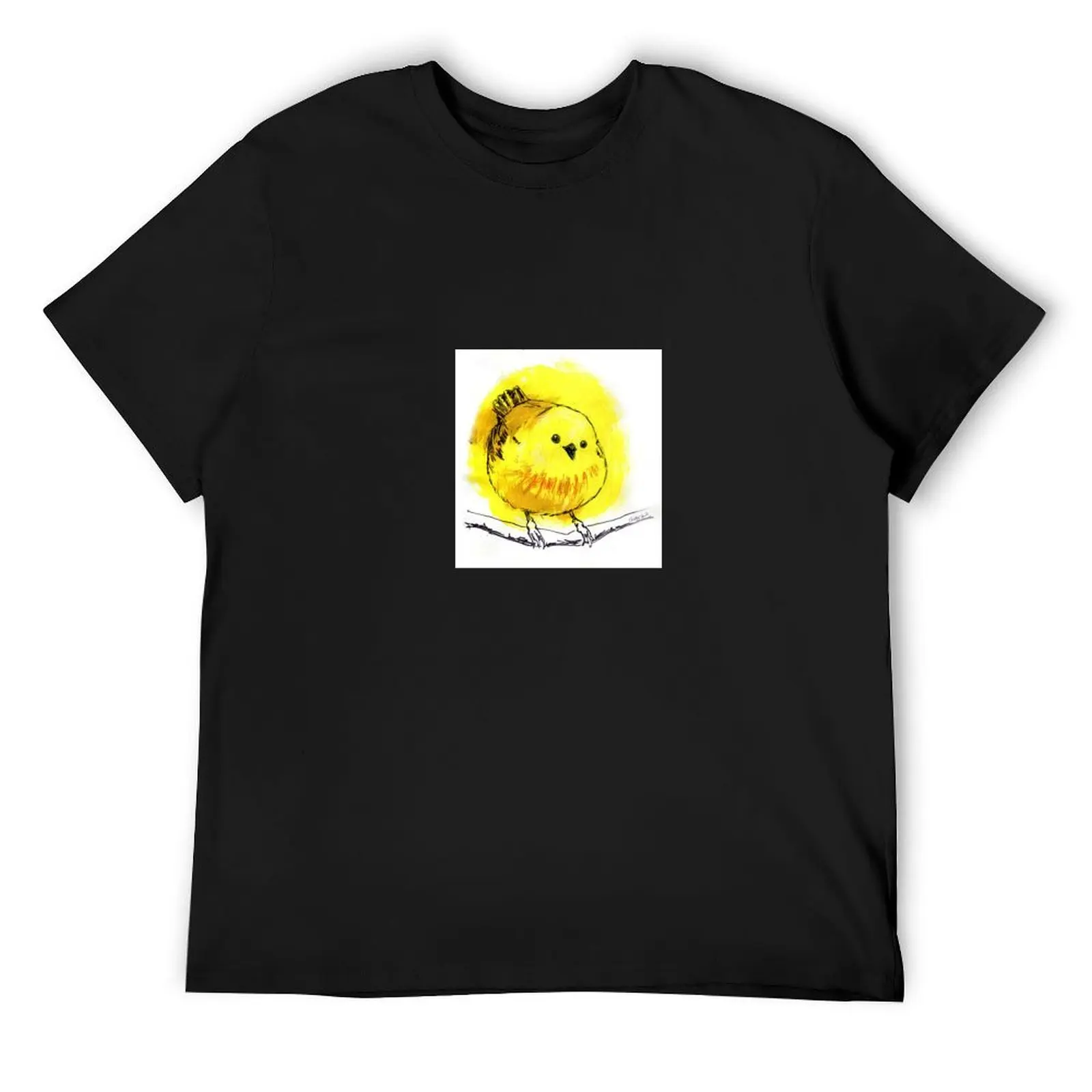 

Yellow Warbler T-Shirt vintage t shirts boys whites vintage clothes mens t shirts top quality