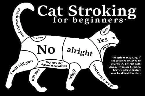 Cat Bathroom Cat Petting Beginner Black and White Cat Art Wall Decor Poster Tin Sign Iron Painting Vintage Metal Tin Sign V sign
