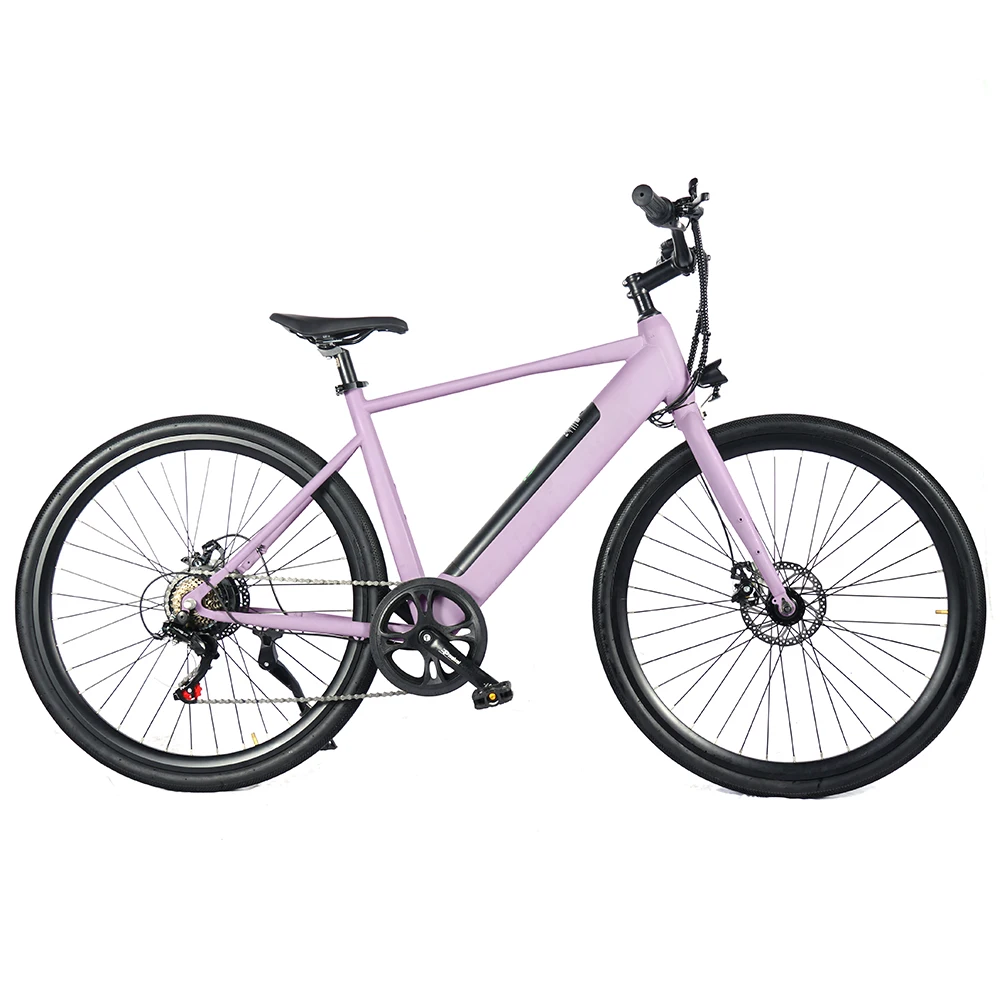 

New Model City Electric Bicycle E Bike Mountain E-bike E Bike Electric High Quality Fat Tire Electric Bike for Adults