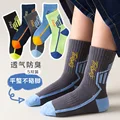 color24(5 pairs)