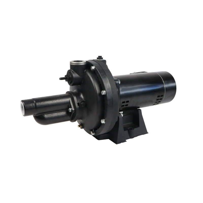 Made Thermoplastic 115V/230V 1/2 HP Max Water Depth 70' Cast Iron Convertible Deep Well Jet Pump