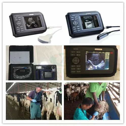 V8 Most Economic Professional Vet Ultrasound Scanner Veterinary Pregnancy Scan Machine for Sheep, Cows, Equine, Dogs