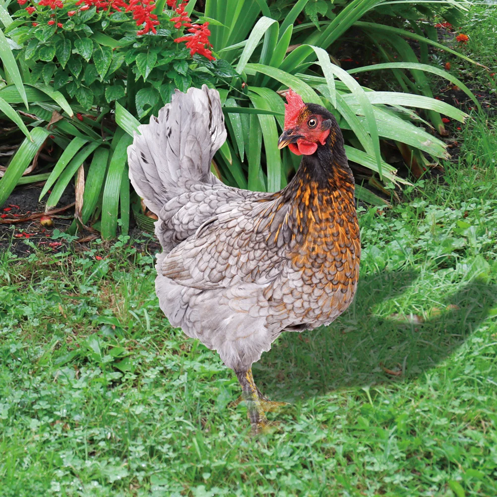 

2Pcs Chicken Yard Signs Realistic Garden Stakes Acrylic Insert Decor Outdoor Courtyard Lawn Ornament Chicken Yard Sign